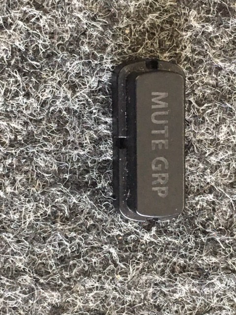 Behringer X32 V1 Mute grp button