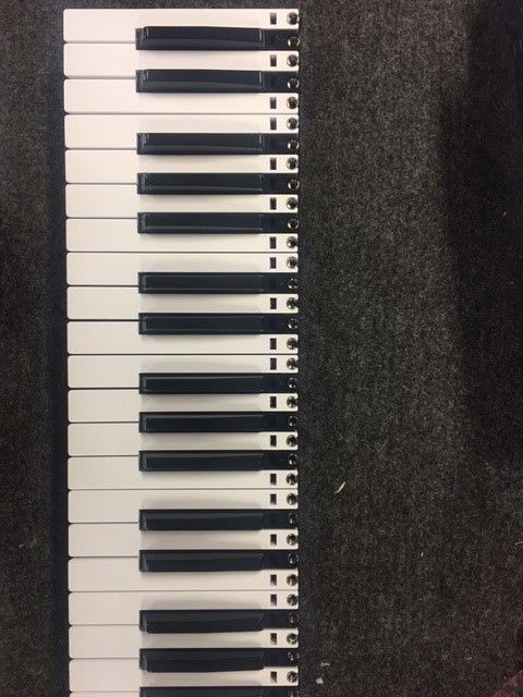 [FL24-00007-000] Complete keybed Deepmind 6
